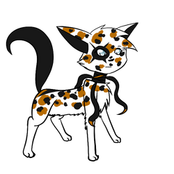 Adoptable - Clearpatch