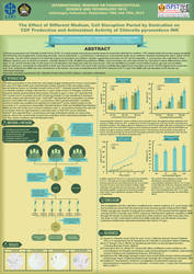 Scientific Research Poster (English version)