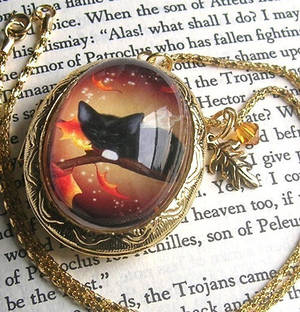 Autumn Cat Fairy Locket