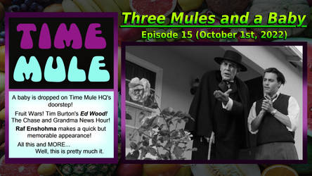 Time Mule: Three Mules and a Baby