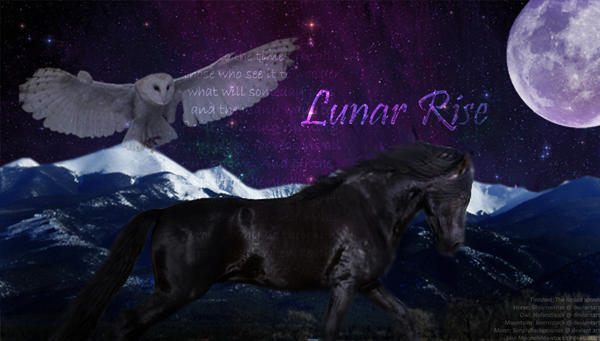 Lunar Rise and the Spirit owl