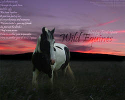 Wild Equines 1st Birthday