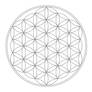 Flower of Life - Lineart