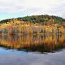 Reflections Of Autumn