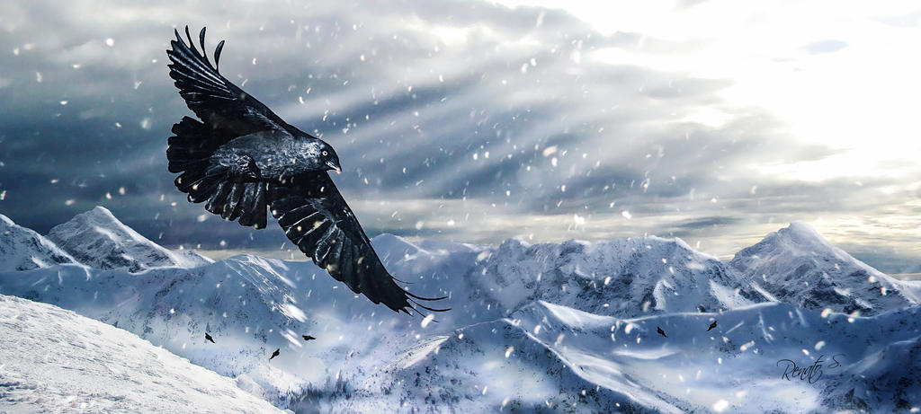 Mountain snow by RenatoSs Mountain snow by RenatoSs