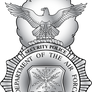 Shaded U.S.A.F. Security Forces Badge