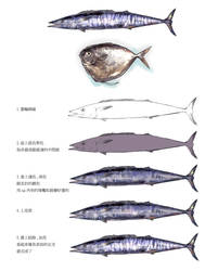 Fish2