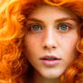 Merida Closeup