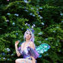 Fairy