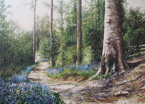 Blue bell forest