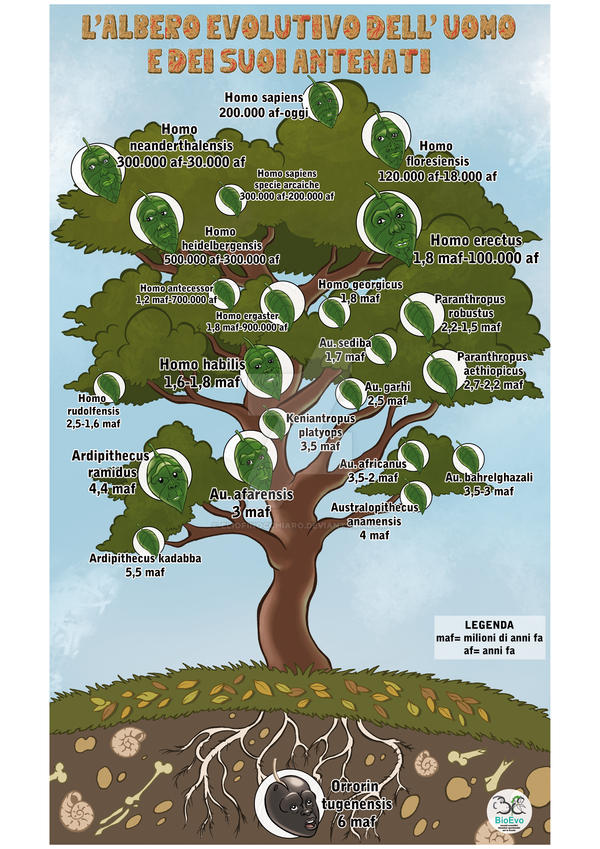 Evolution Tree by ElioFinocchiaro on DeviantArt
