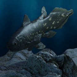 Coelacanth