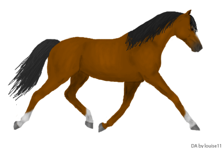 Digital Art brown pony