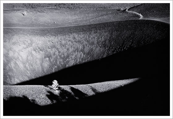 Lassen Cindercone