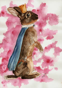 Bunny Prince Charming