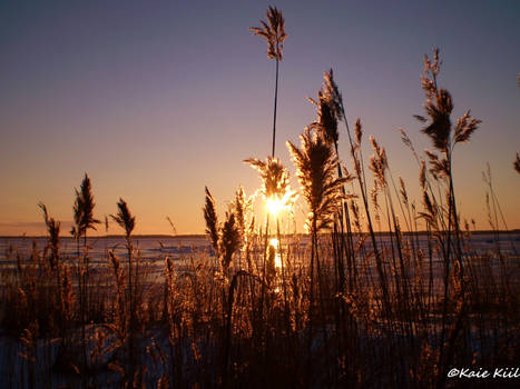 Winter sunset