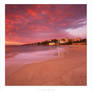 Coogee Beach Dawn 6x6