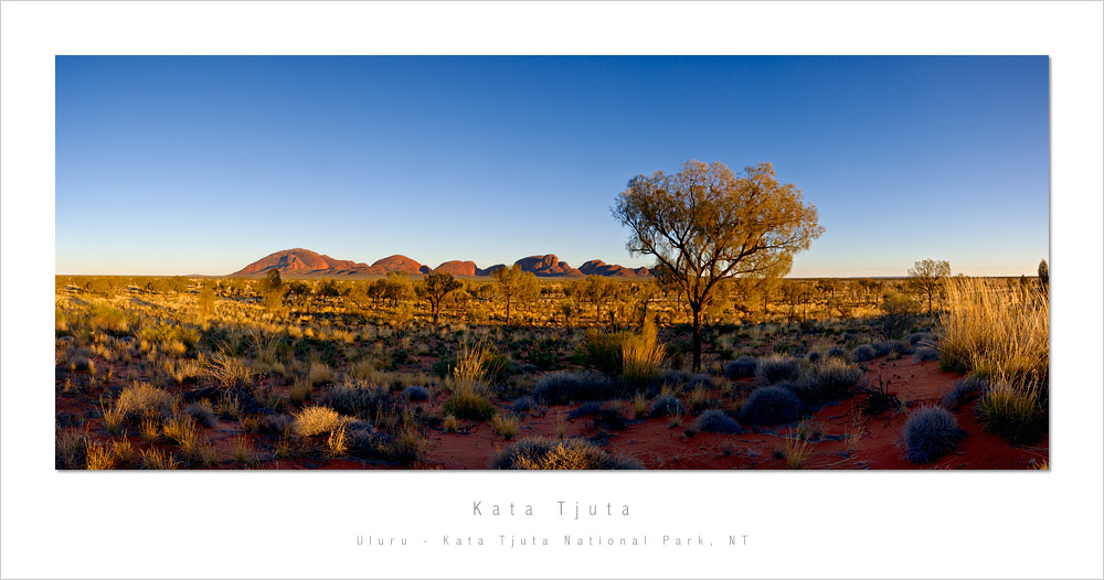 Morning light on Kata Tjuta