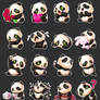 Panda - Sticker pack