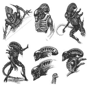 Aliens Sketches