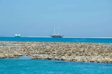 Sailing boat and Coral reefs