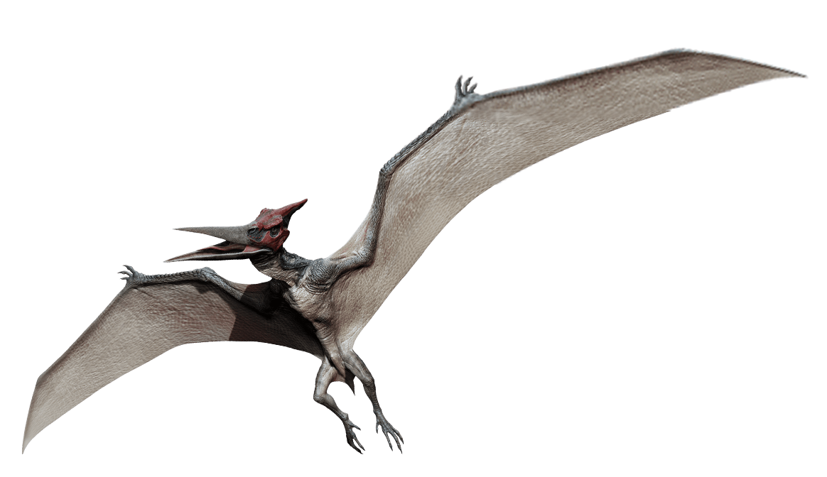 Jurassic World Pteranodon