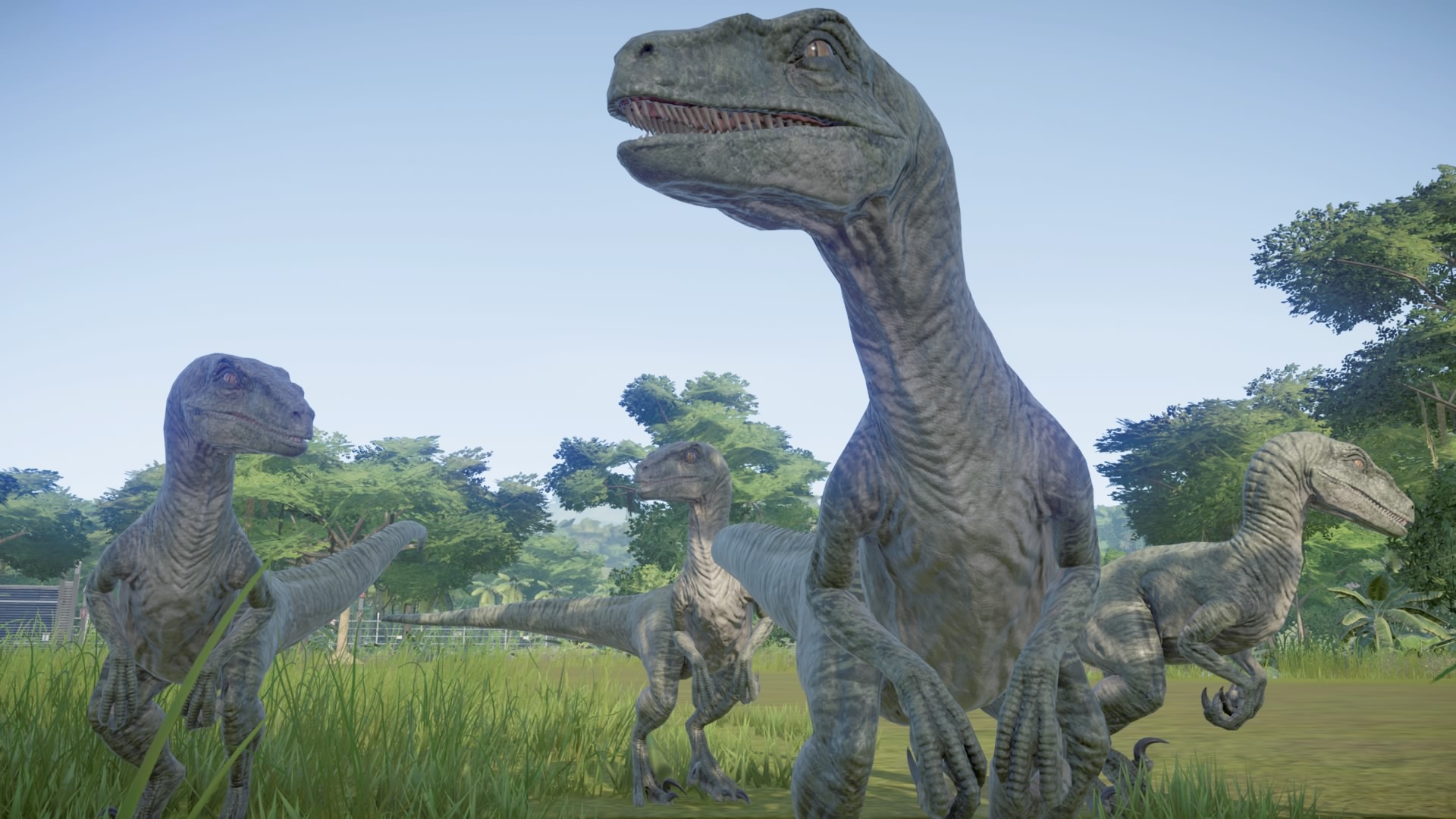 JWE - Raptor Pack by Sideswipe217 on DeviantArt