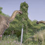 JWE - Sauropod Sanctuary