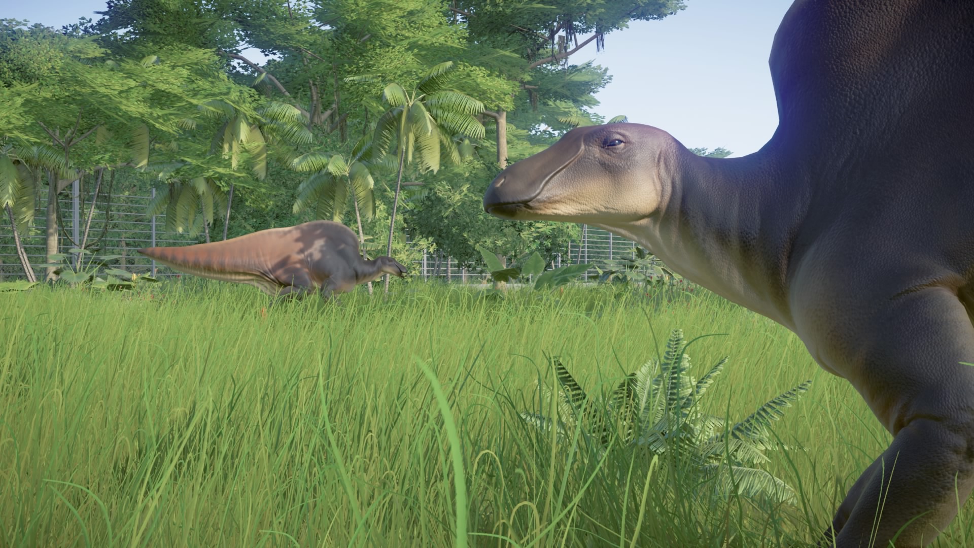 JPOG Park - Paddock 10 Part 4 by Sideswipe217 on DeviantArt