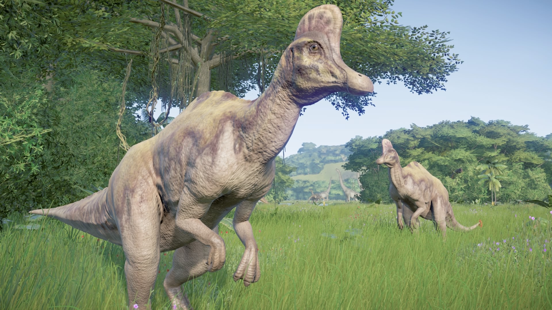 JPOG Park - Paddock 11 Part 5 by Sideswipe217 on DeviantArt