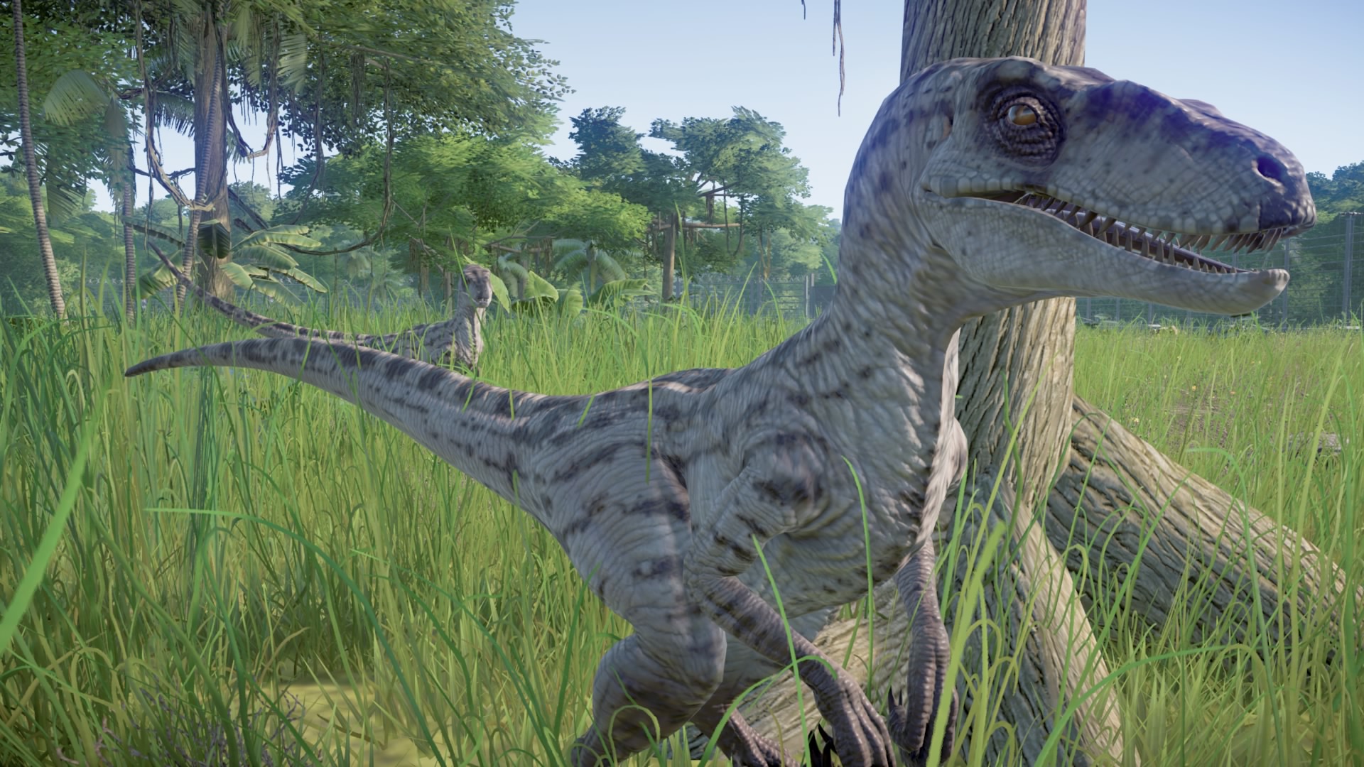 JPOG Park - Paddock 13 by Sideswipe217 on DeviantArt