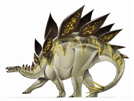 Stegosaurus