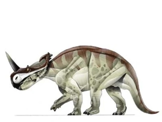 Centrosaurus