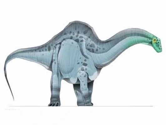 Apatosaurus