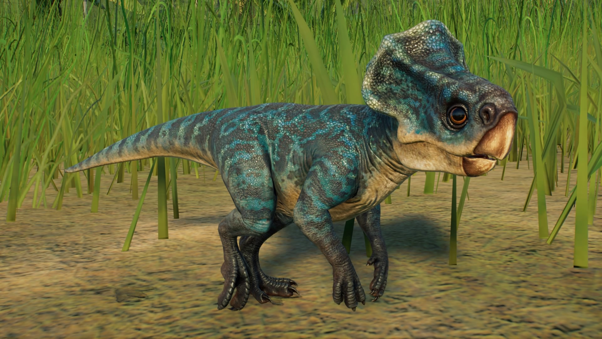 Microceratops EG/JP Reboot - Microceratus by Sideswipe217 on DeviantArt