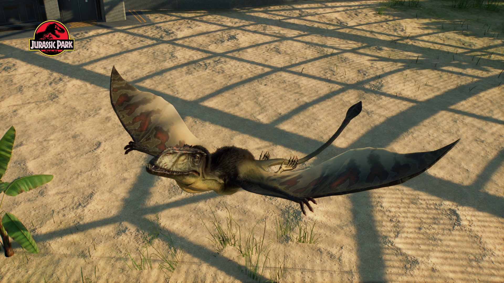 JWE 2 - Dimorphodon 2022 by Sideswipe217 on DeviantArt