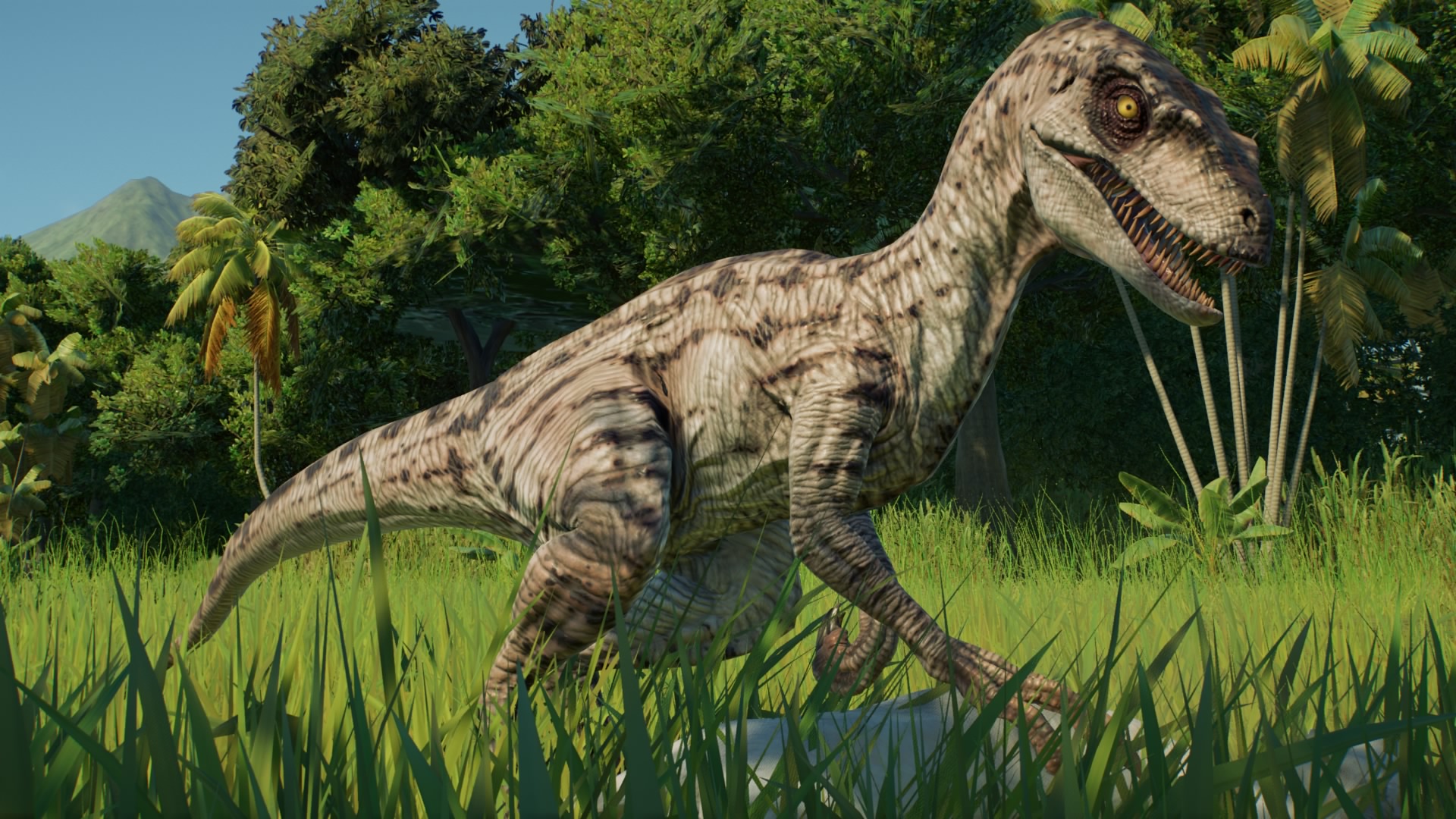 Jpog Raptor JPOG - Velociraptor by Sideswipe217 on DeviantArt
