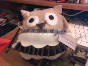 Gracey's Owl