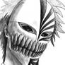 Bleach: Kurosaki Ichigo Hollow Mask/Shinigami