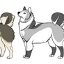 Alaskan Malamute/Husky/Wolf designs