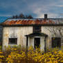 Derelict House