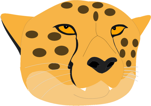 Cheetahs logo 