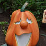 pumpkin Halloween fall stock