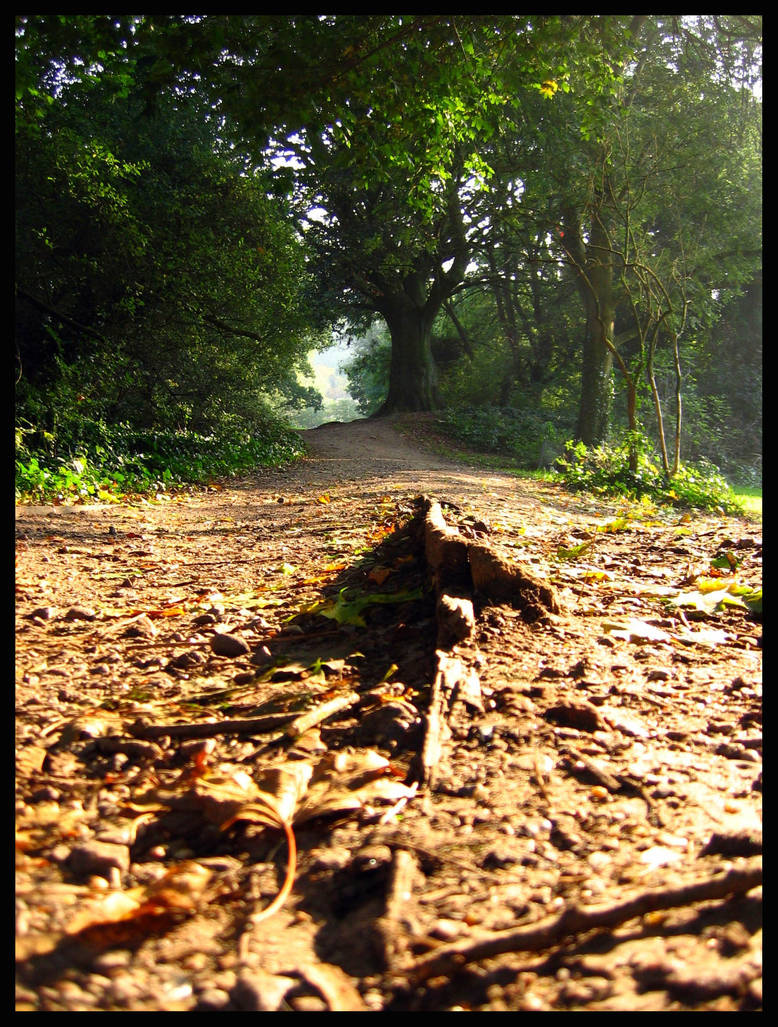 Path to Infinity by vespertilia on DeviantArt