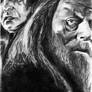 HP and the Half Blood Prince