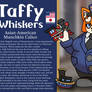 Falkitty - Taffy Whiskers Info Sheets