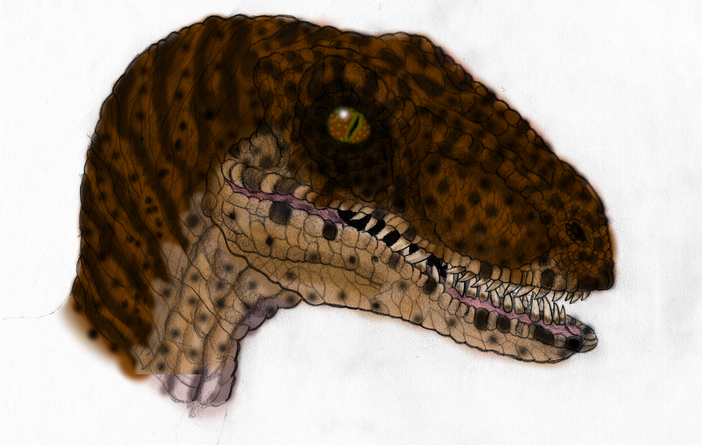 JP Velociraptor Color