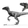Male Velociraptor Concept Art