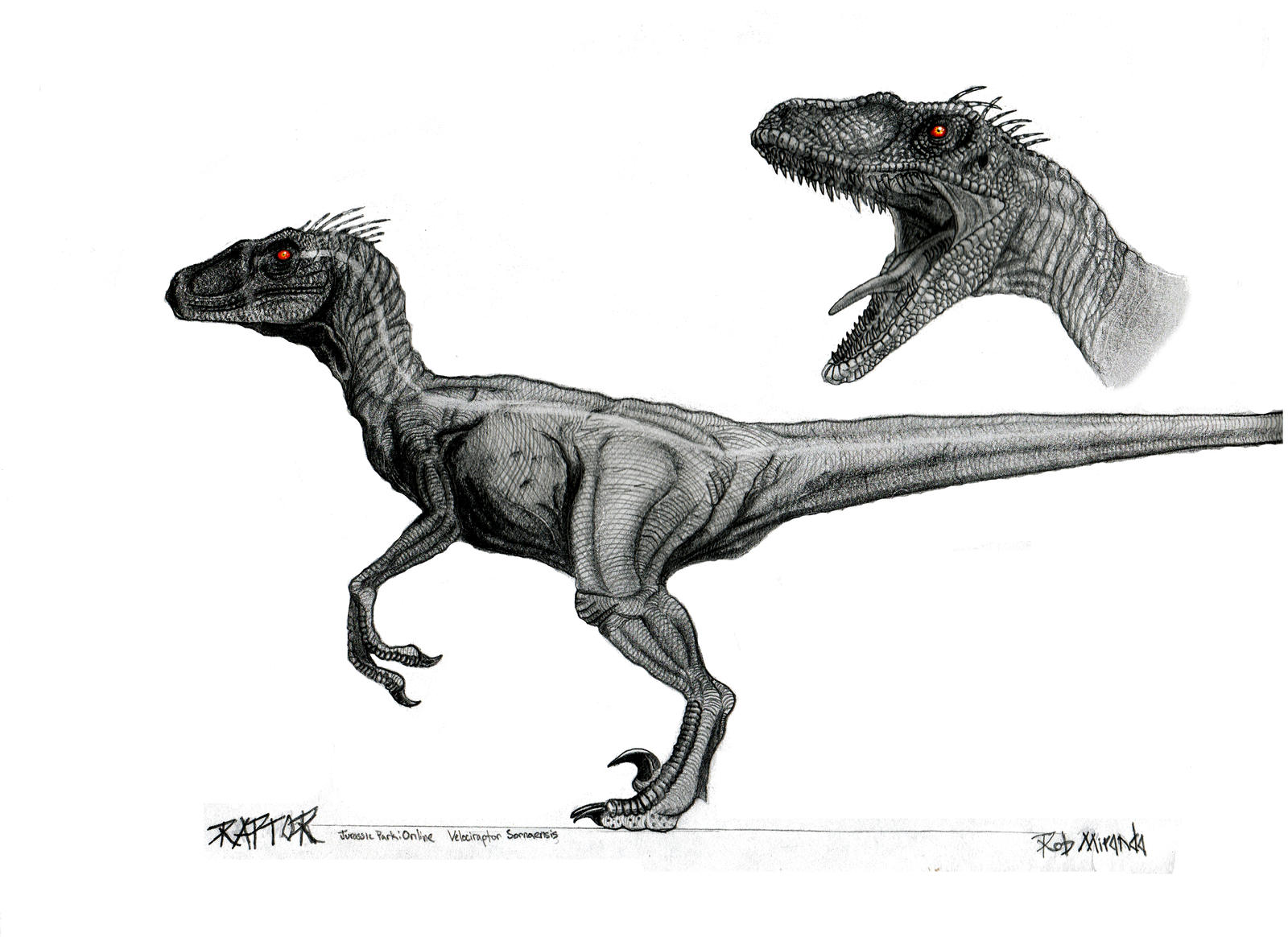 Male Velociraptor Concept Art by yankeetrex on DeviantArt