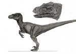 JP3 Female Raptor Color by yankeetrex on DeviantArt